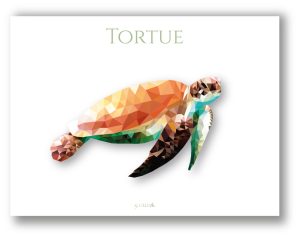 Tortue Low Poly
